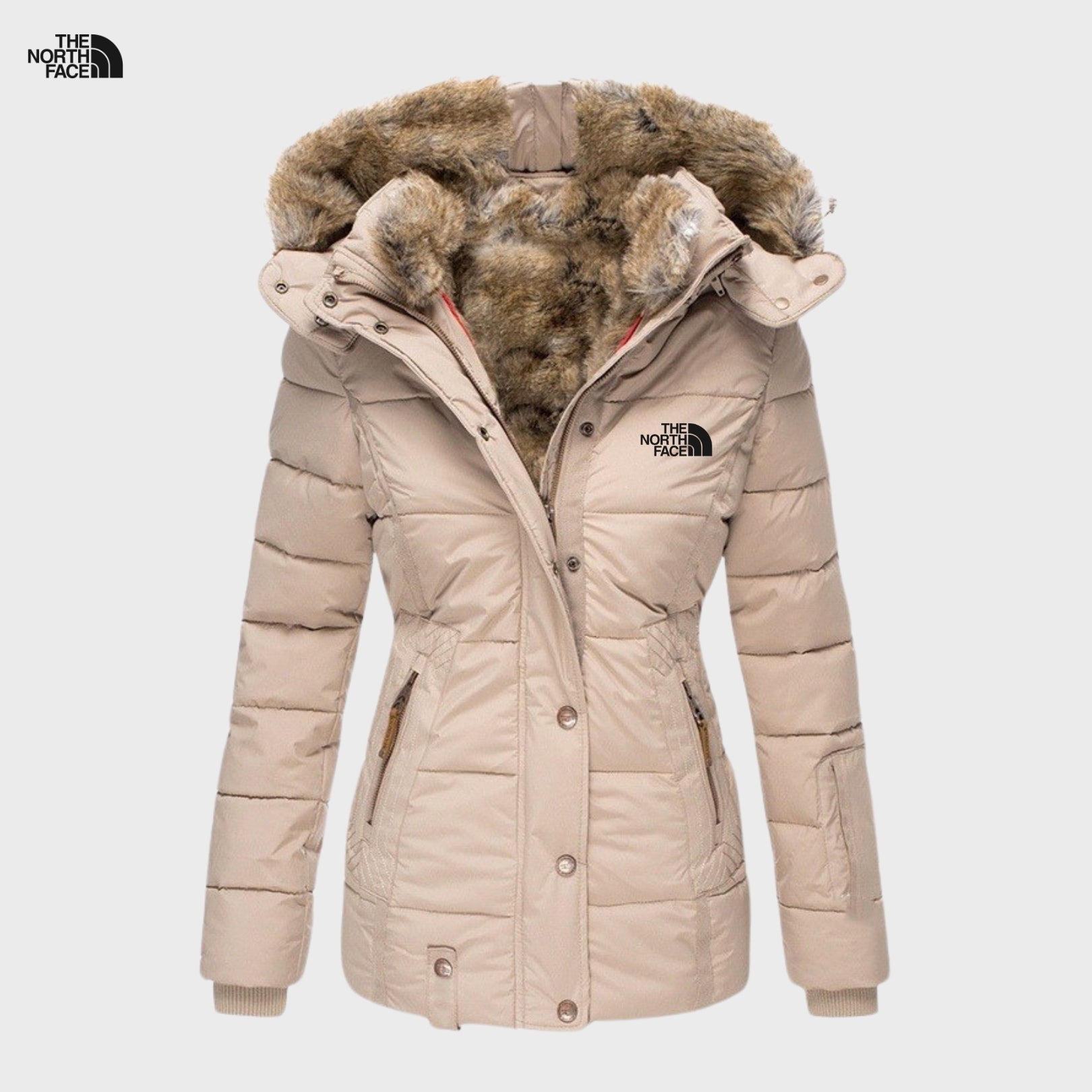 Elegance and Stylish Jacket